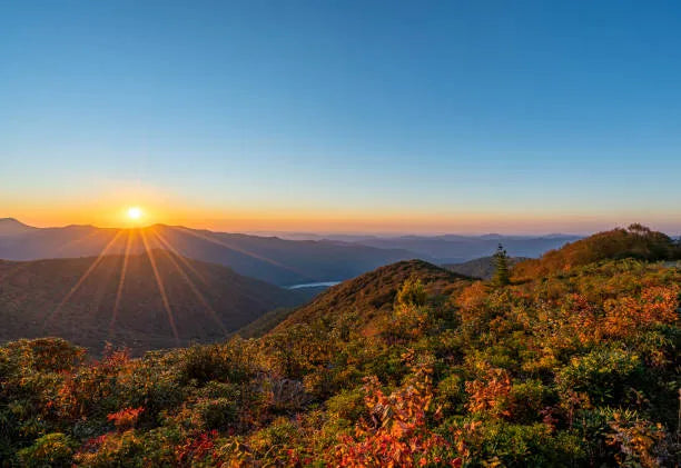 Top 5 Postcard Design Agencies in North Carolina