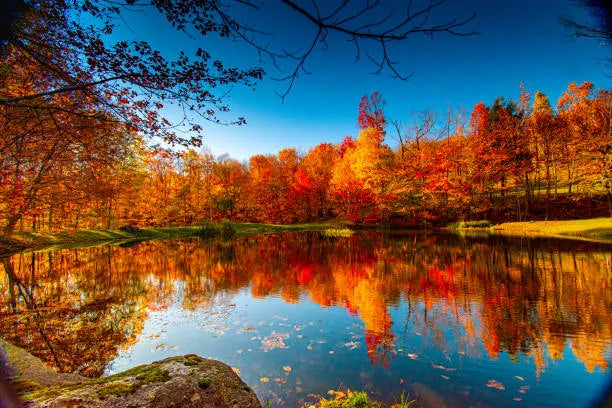 Top 5 Postcard Design Agencies in Vermont