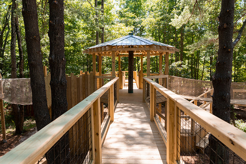 Top or Best Instagram Management Agencies and Companies in Evansville, Indiana