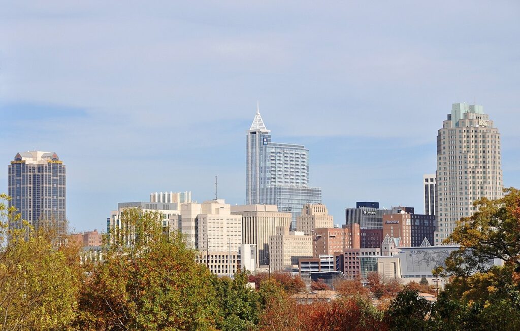 Top or Best Social Media Design Agencies and Companies in Raleigh, North Carolina