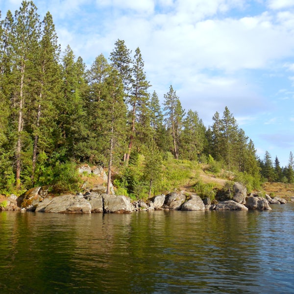 Top or Best Banner Ads Agencies and Companies in Hayden, Idaho