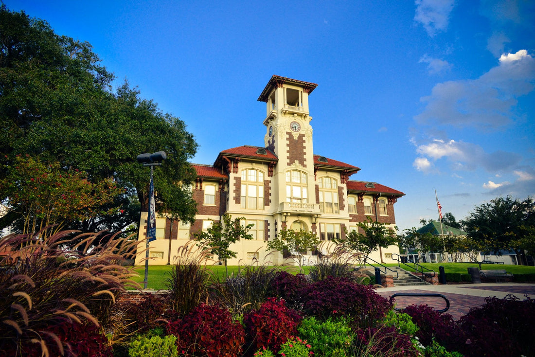 Best or Top Mural Design Agencies and Companies in Lake Charles, Louisiana