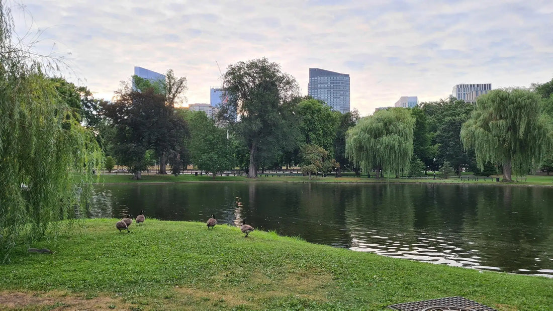 Top or Best AR Filters and Lenses Agencies and Companies in Malden, Massachusetts