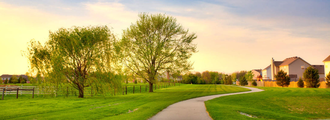 Top or Best Postcard Design Agencies and Companies in Greenwood, Indiana