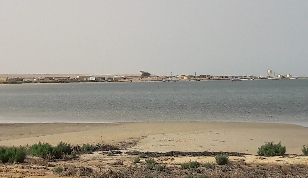 Top X (Twitter) Management Company in Mauritania