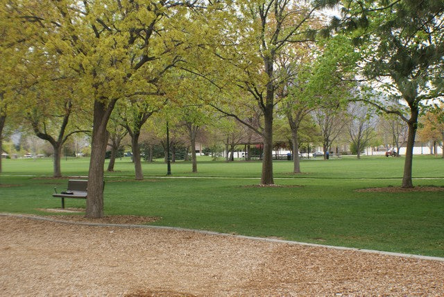 Top or Best YouTube Management Agencies and Companies in Orem, Utah