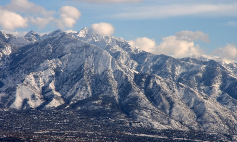 Top or Best X (Twitter) Management Agencies and Companies in Salt Lake City, Utah