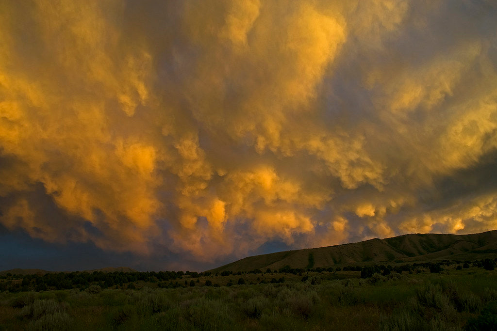 Top or Best Instagram Management Agencies and Companies in Pocatello, Idaho