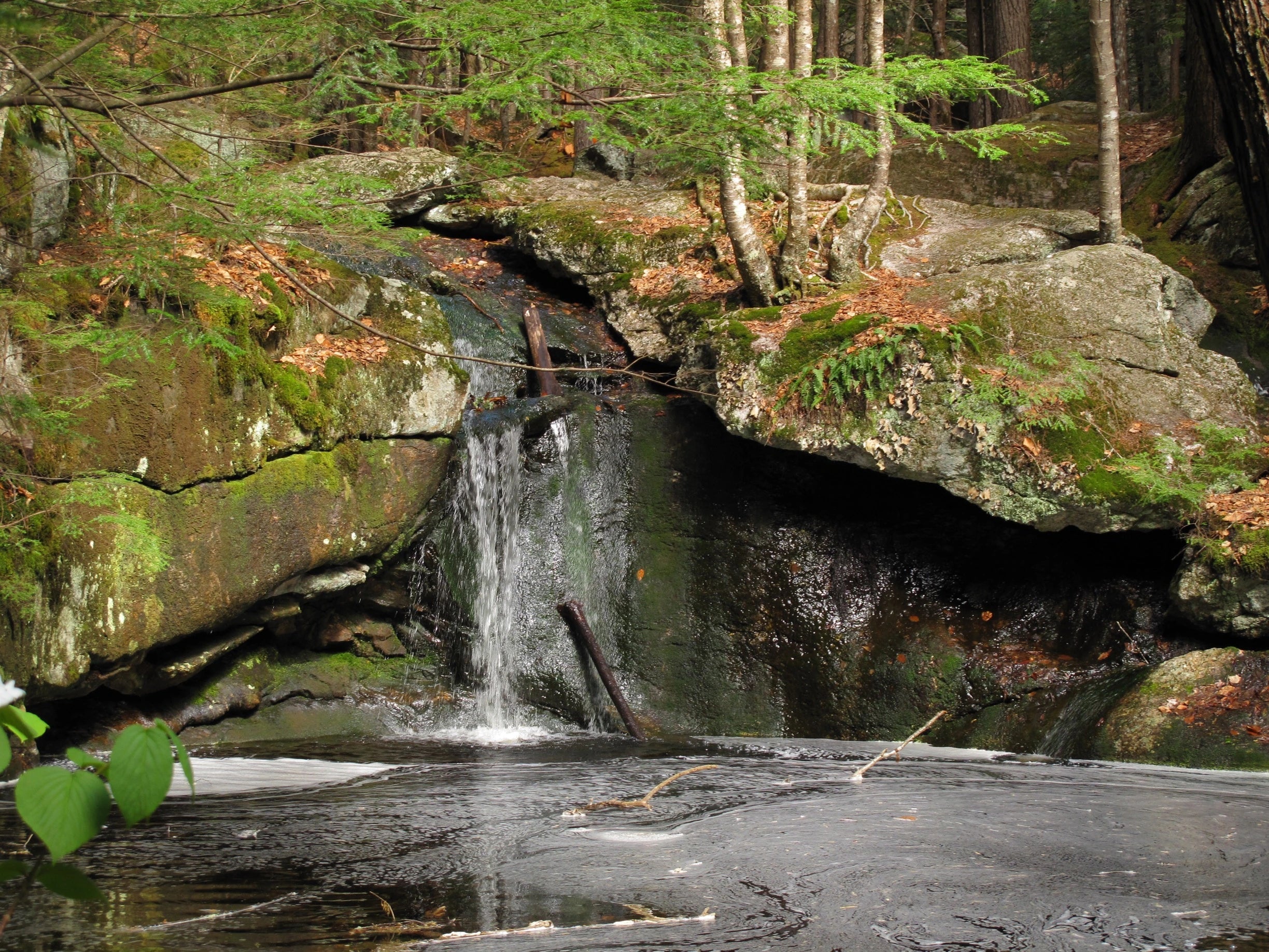 Top or Best Catalog Design Agencies and Companies in Ramapo, New York