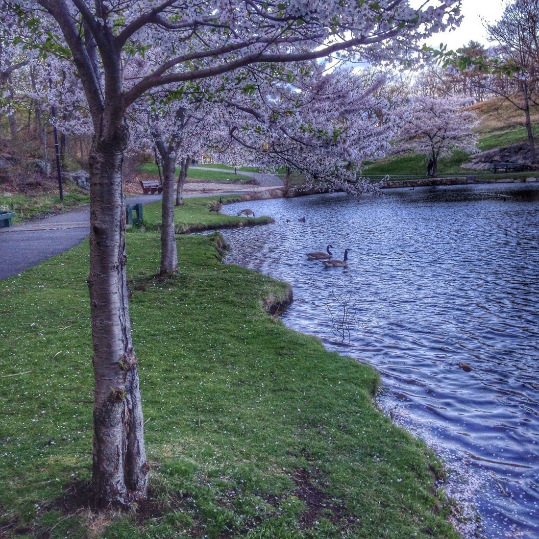 Top or Best Web and Mobile Design Agencies and Companies in Malden, Massachusetts