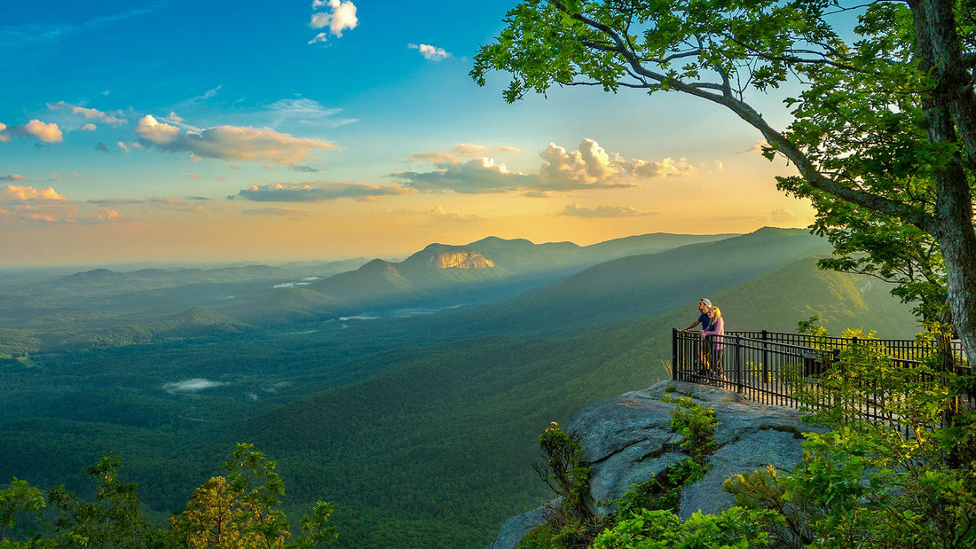 Top or Best Custom Graphics for Videos Agencies and Companies in Greenville, South Carolina