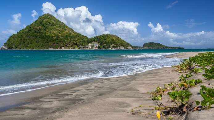 Top or Best Talent Management Agencies and Companies in Grenada