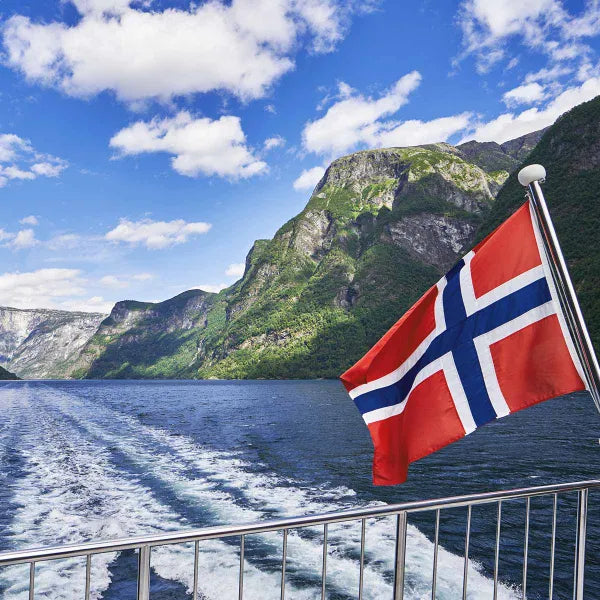 Top or Best Influencer Brand Partnership Agencies and Companies in Norway