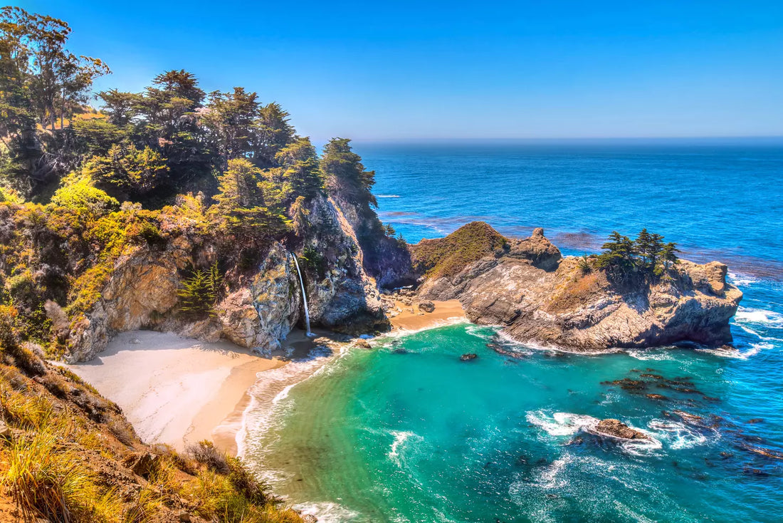 Best Instagram Management Companies in California