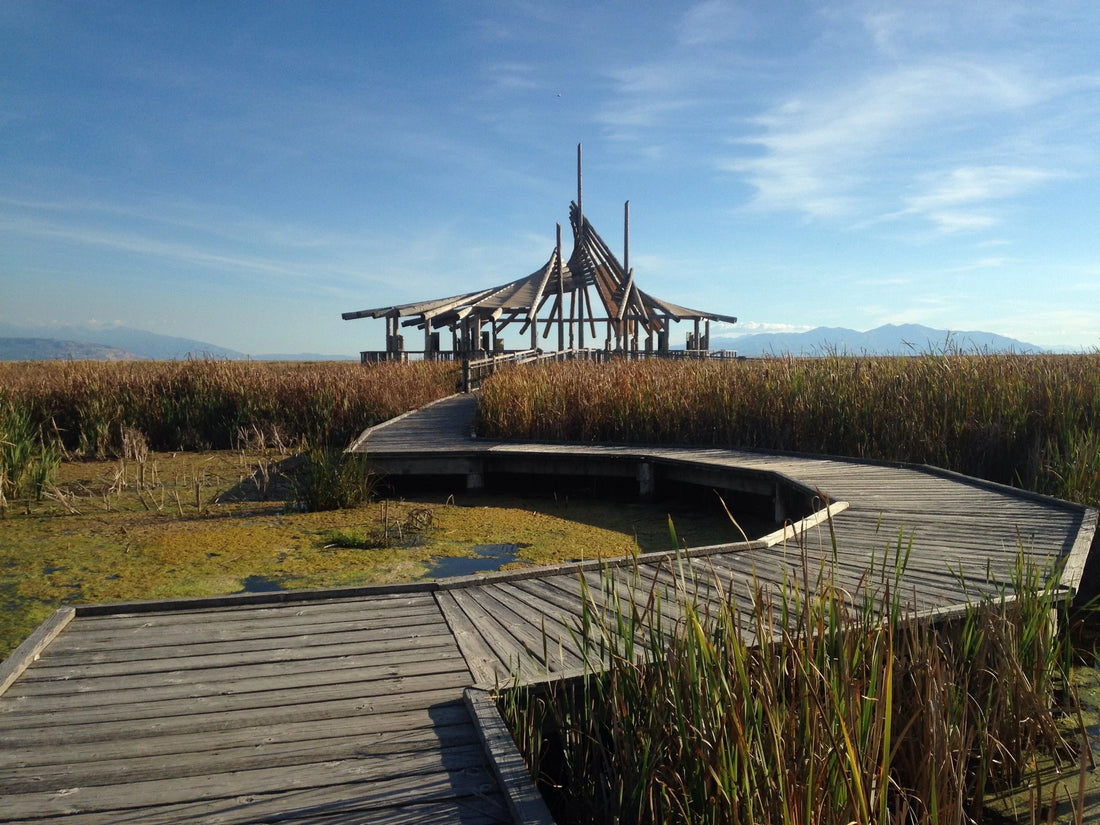 Top or Best Website Design Agencies and Companies in Layton, Utah