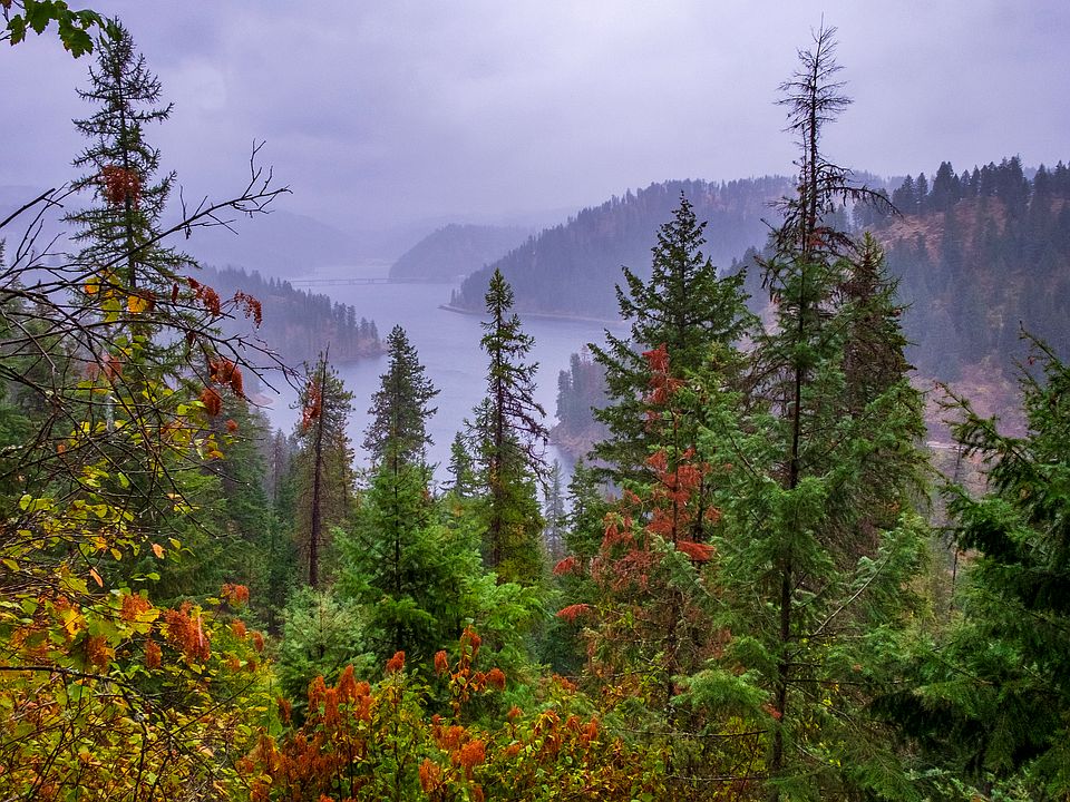 Top or Best Poster Design Agencies and Companies in Hayden, Idaho