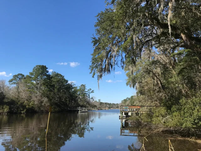 Top or Best Instagram Management Agencies and Companies in Summerville, South Carolina