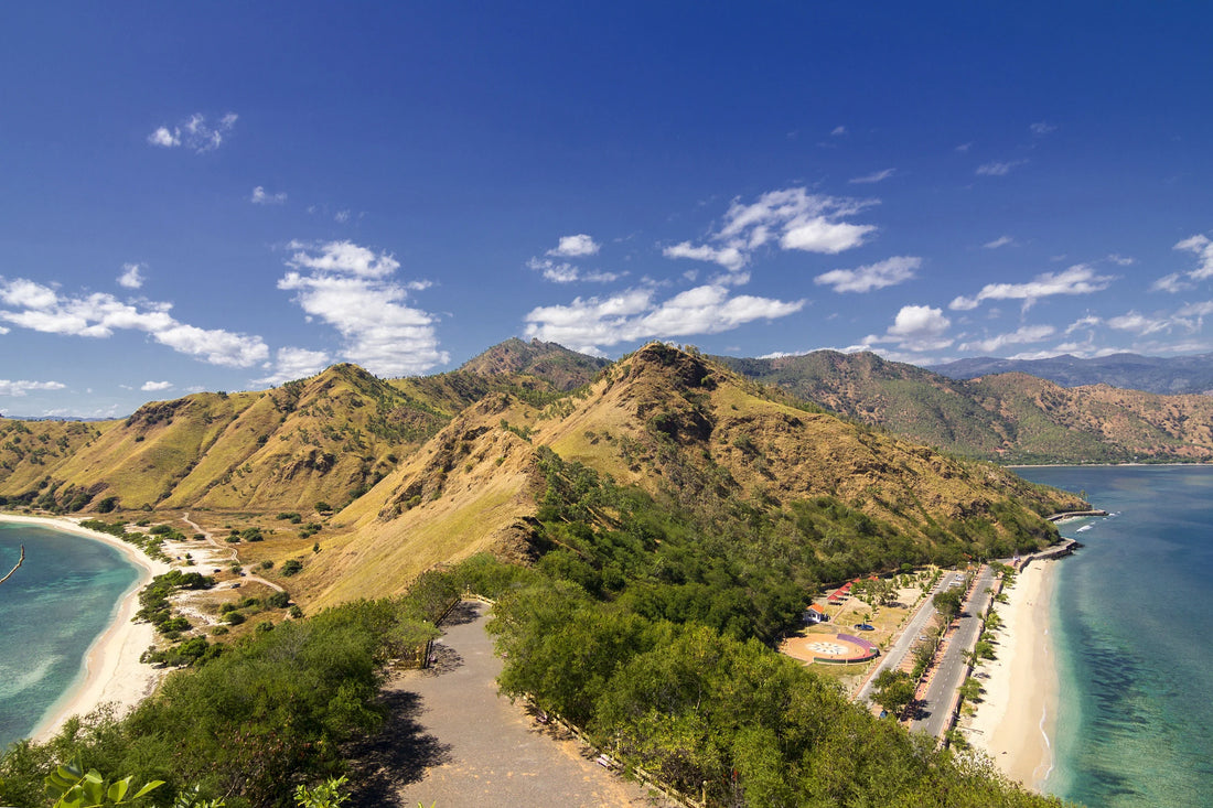 Top or Best Talent Management Agencies and Companies in Timor-Leste