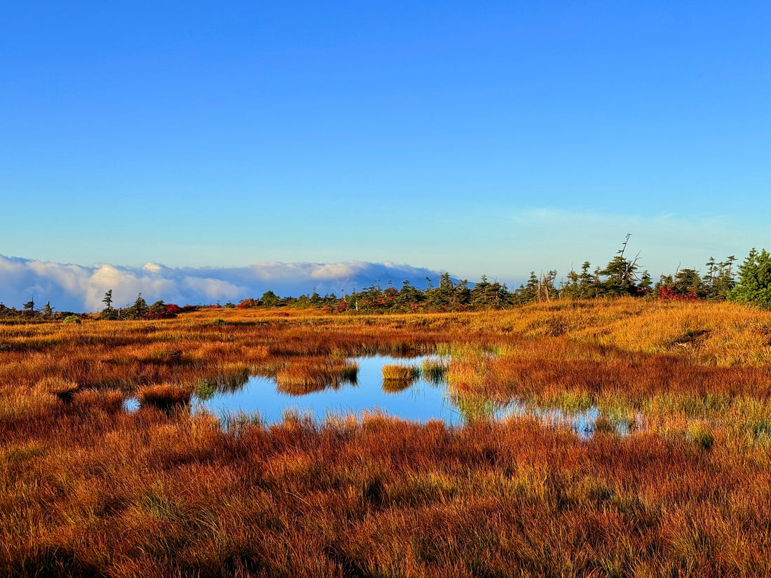 Top or Best Athlete Brand Partnership Agencies in Niigata, Japan