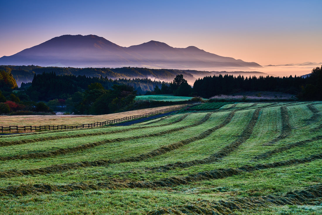 Top or Best Virtual Background Design Services in Okayama, Japan