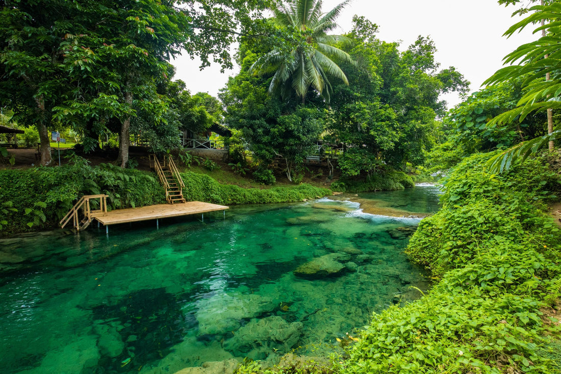 Top or Best Talent Management Agencies and Companies in Vanuatu