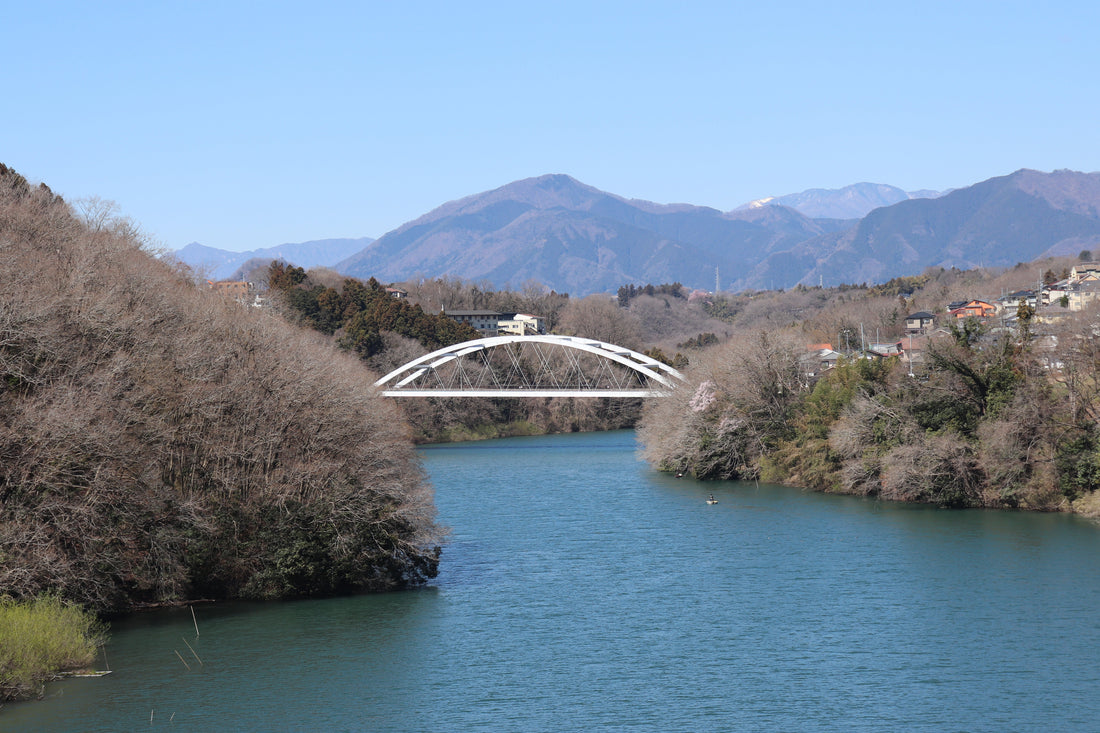 Top or Best Infographic Design Agencies in Sagamihara, Japan