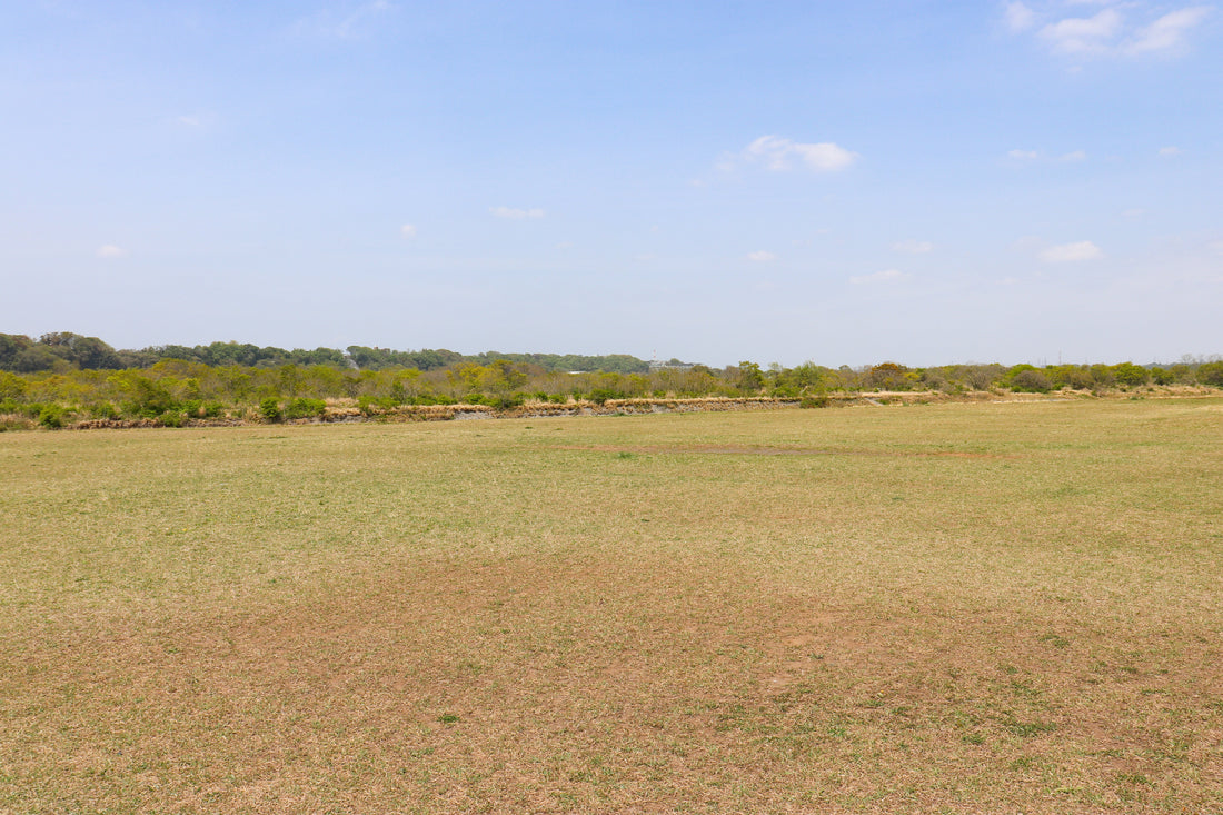 Top or Best Banner Ad Design Agencies in Sagamihara, Japan