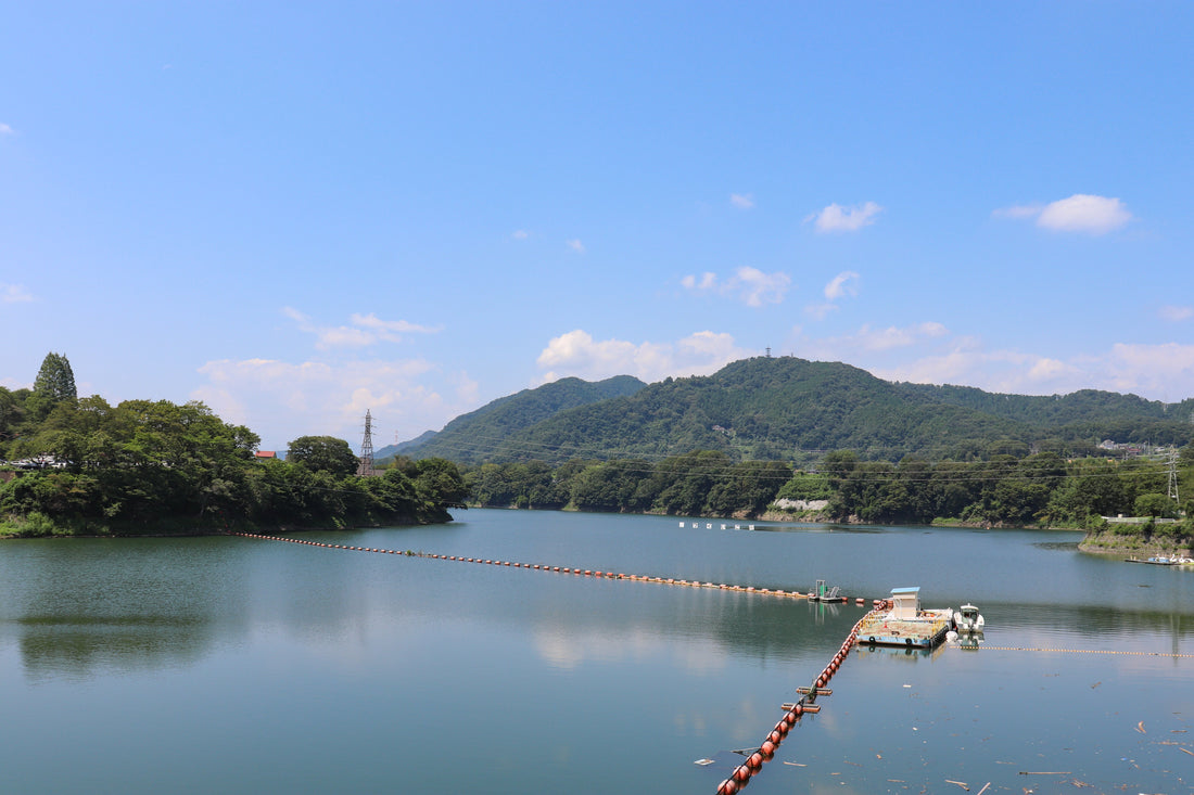 Top or Best Tattoo Design Agencies in Sagamihara, Japan