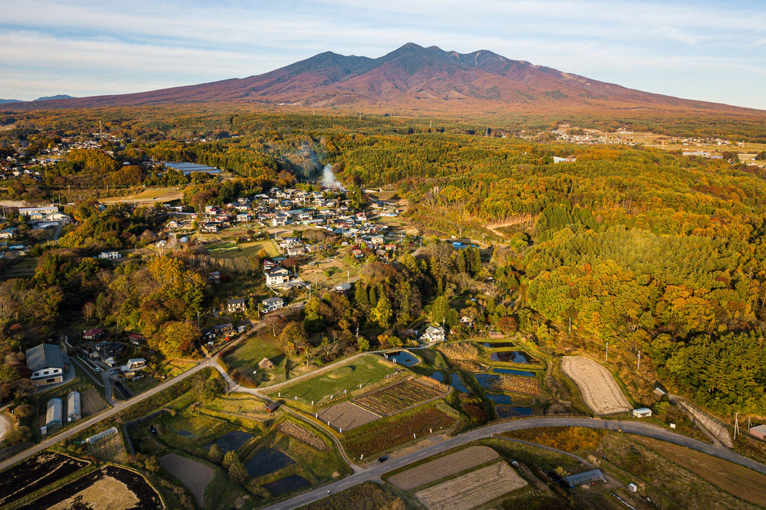 Top or Best Social Media Design Agencies and Companies in Niigata, Japan