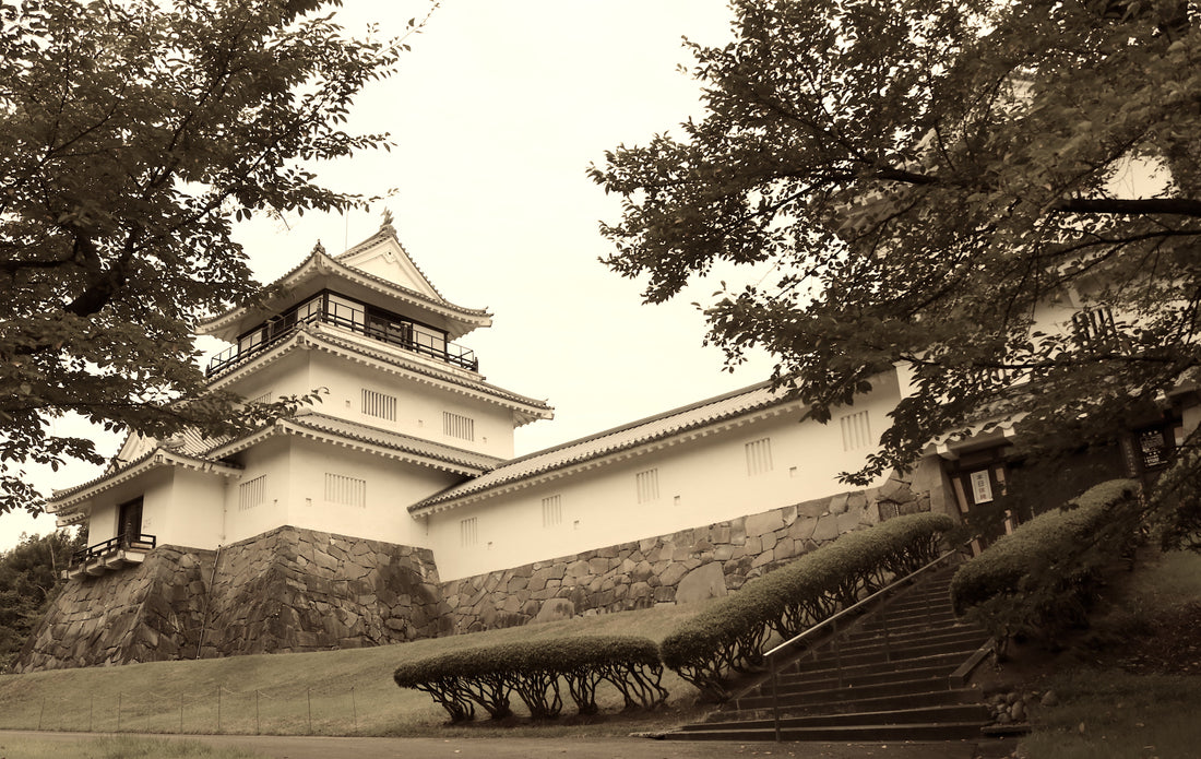 Top or Best LinkedIn Management Agencies in Niigata, Japan