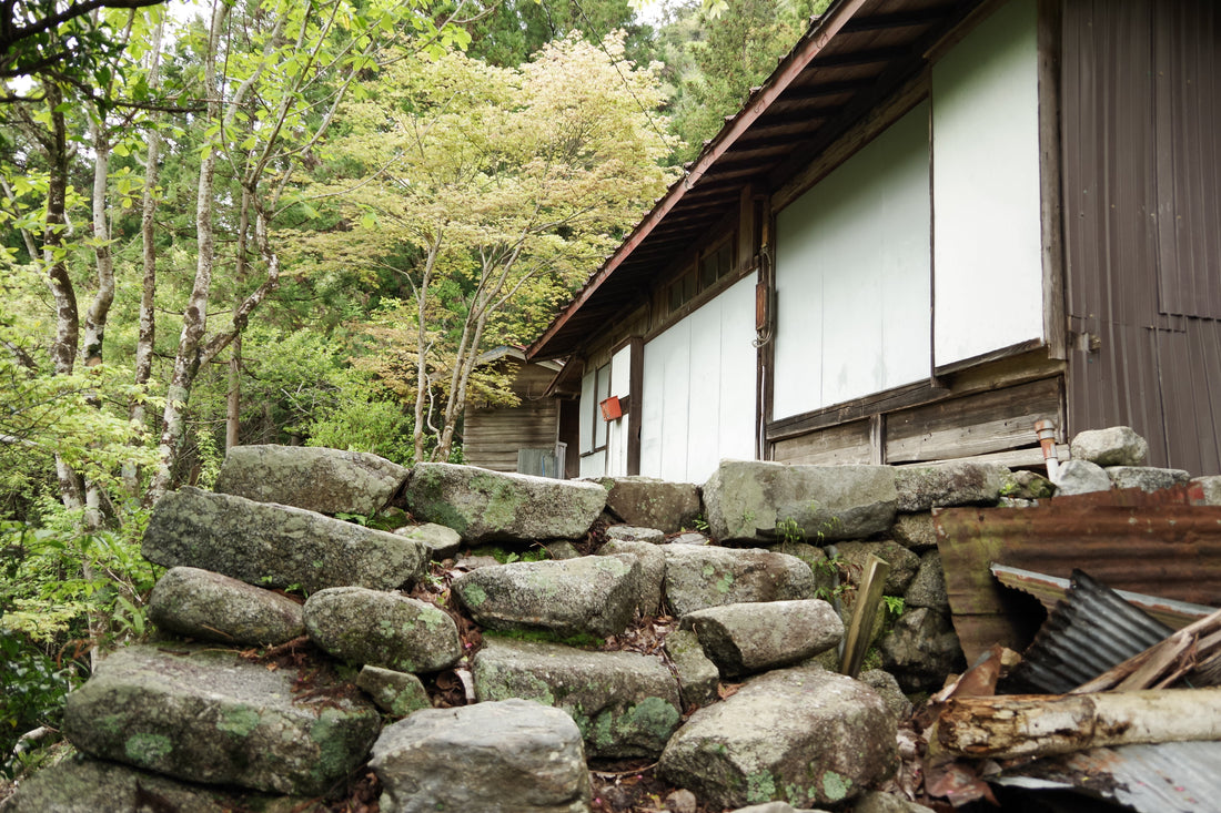 Top or Best Tattoo Design Agencies and Companies in Hamamatsu, Japan