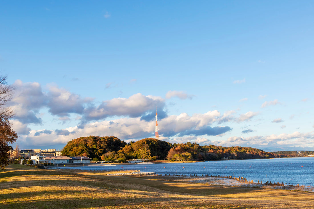 Top or Best Brand Partnership Agencies and Companies in Hamamatsu, Japan