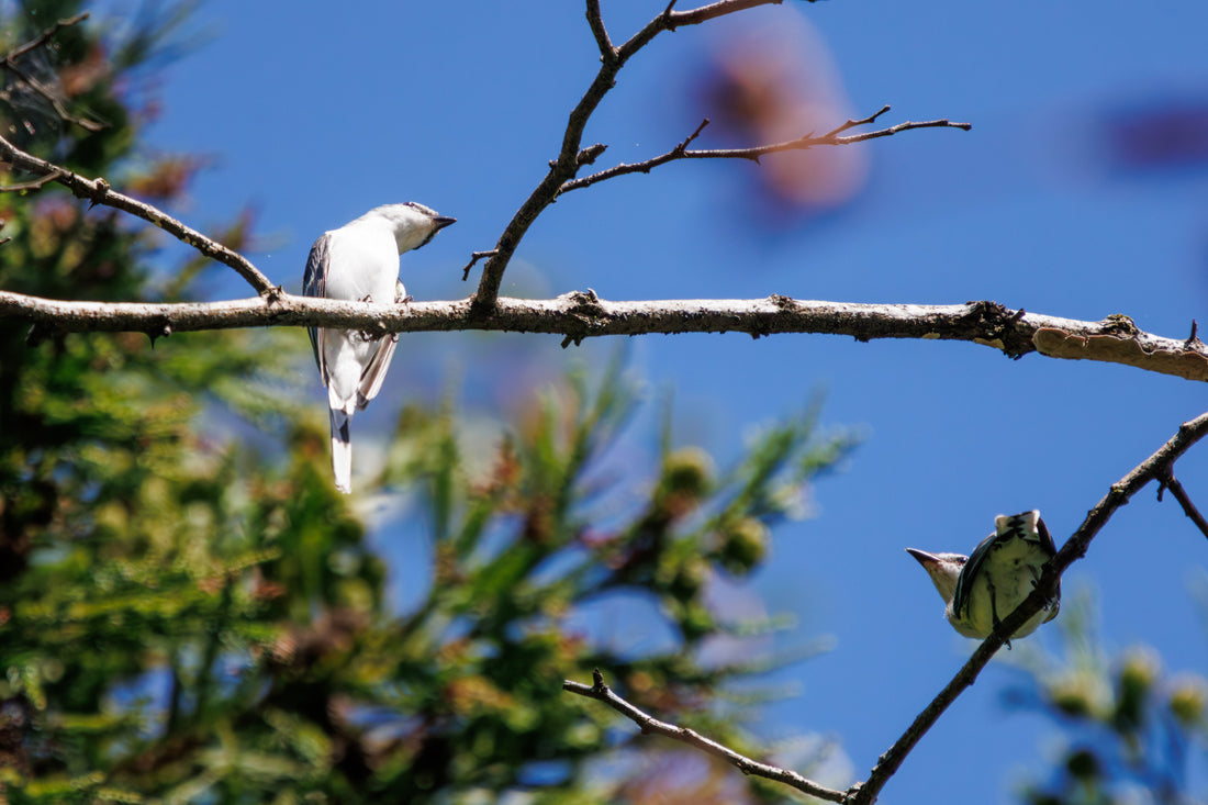 Top or Best Catalog Design Agencies in Sagamihara, Japan