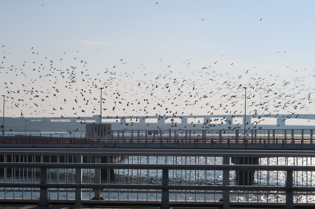 Top or Best Web & Mobile Design Agencies and Companies in Hamamatsu, Japan