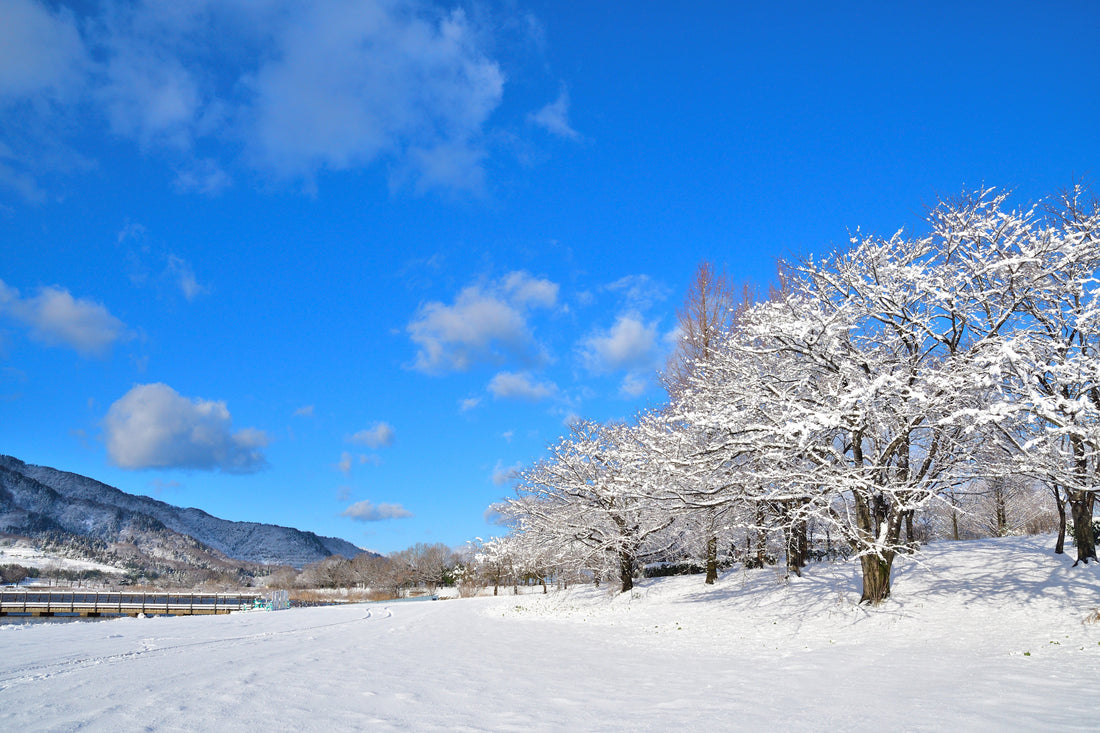 Top or Best Social Media Management Agencies in Niigata, Japan