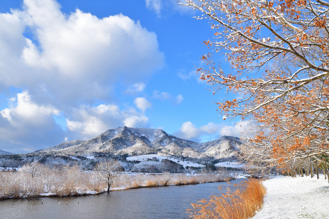 Top or Best Drawing and Illustration Agencies and Companies in Niigata, Japan