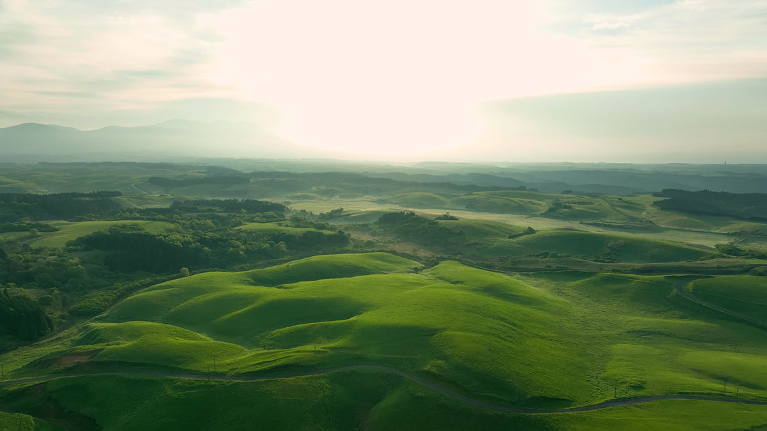 Top or Best Book Cover Design Agencies in Sagamihara, Japan