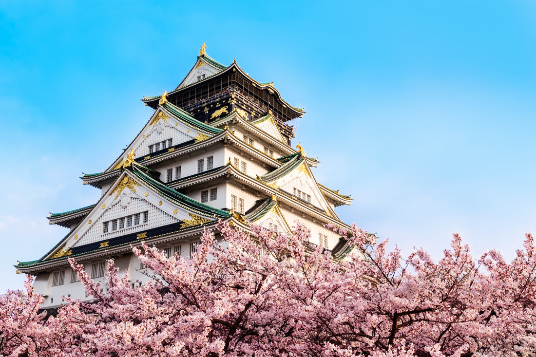 Top or Best Influencer Agencies in Sagamihara, Japan