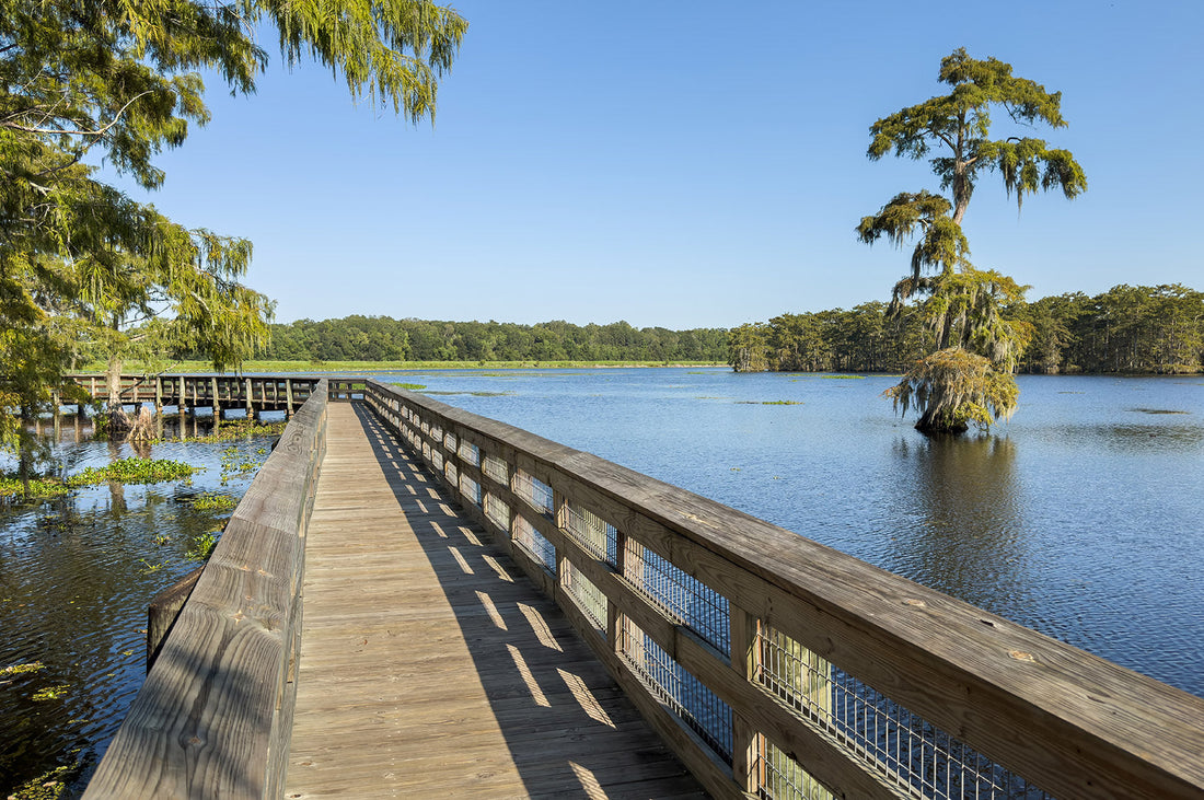 Top or Best Social Media Design Agencies and Companies in Central, Louisiana