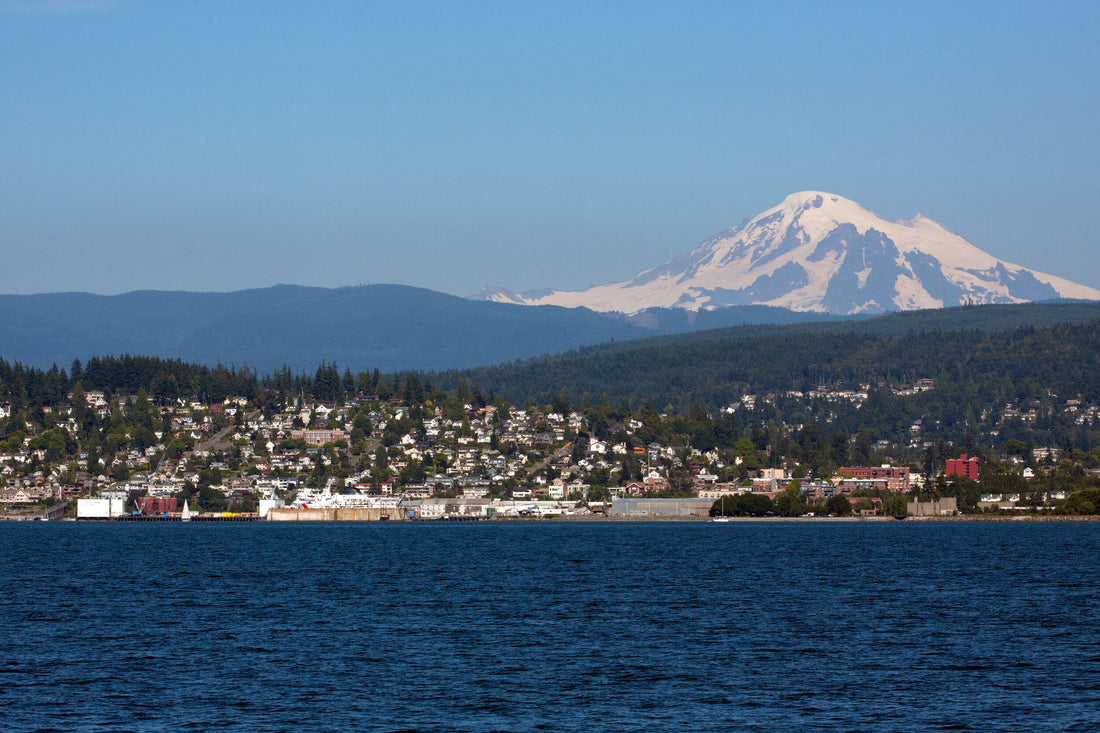 Top or Best Postcard Design Agencies and Companies in Bellingham, Washington