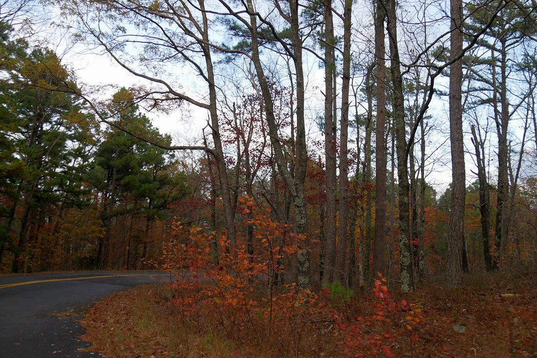 Top or Best Virtual Background Design Agencies and Companies in Broken Arrow, Oklahoma