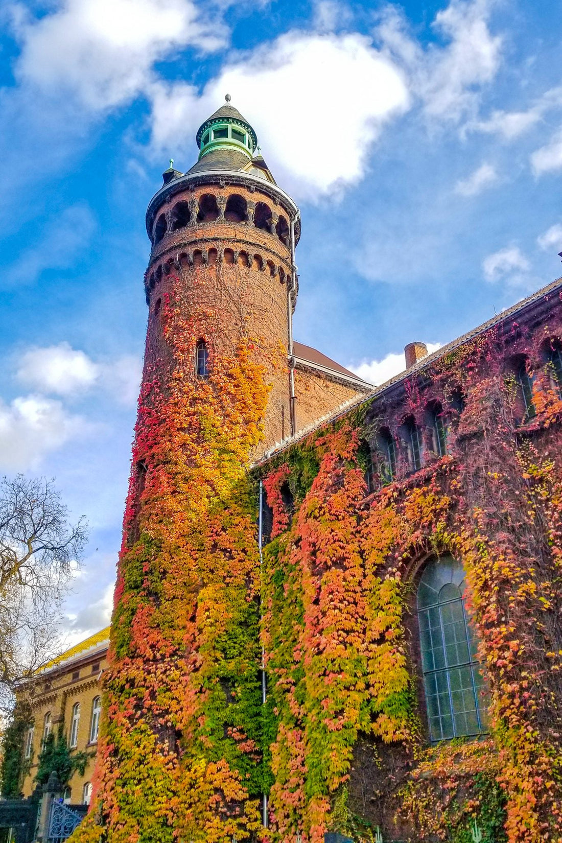 Top or Best Business Card Design Agency in Cologne, Germany