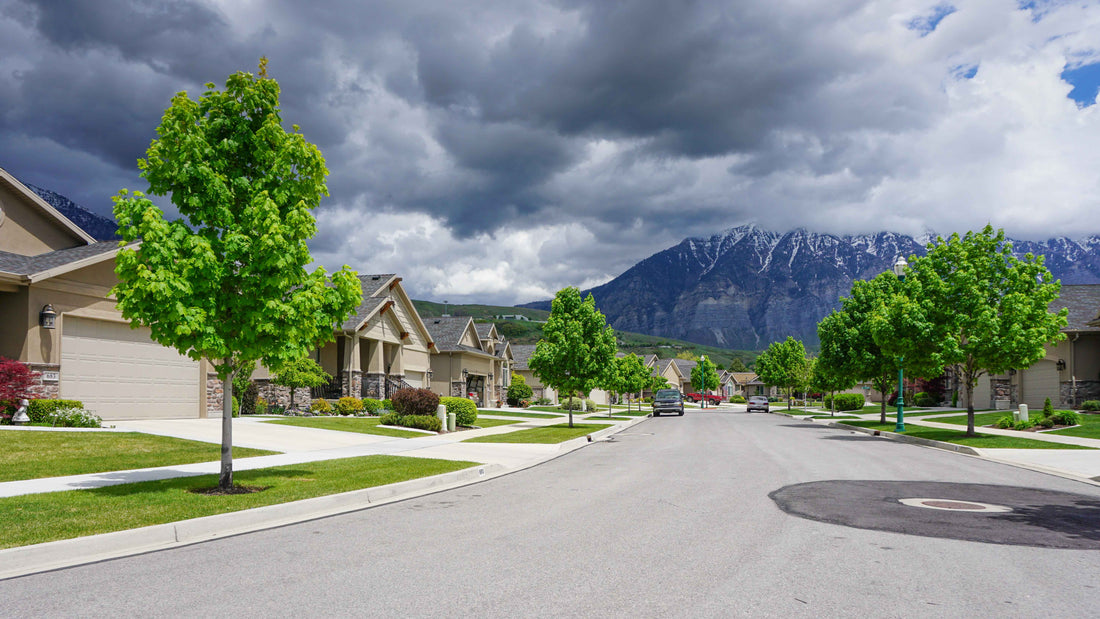 Top or Best Direct Mail Design Agencies and Companies in Orem, Utah
