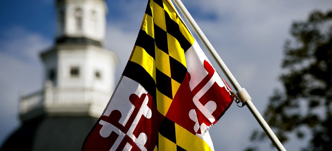 Best Storyboards Agencies in Maryland