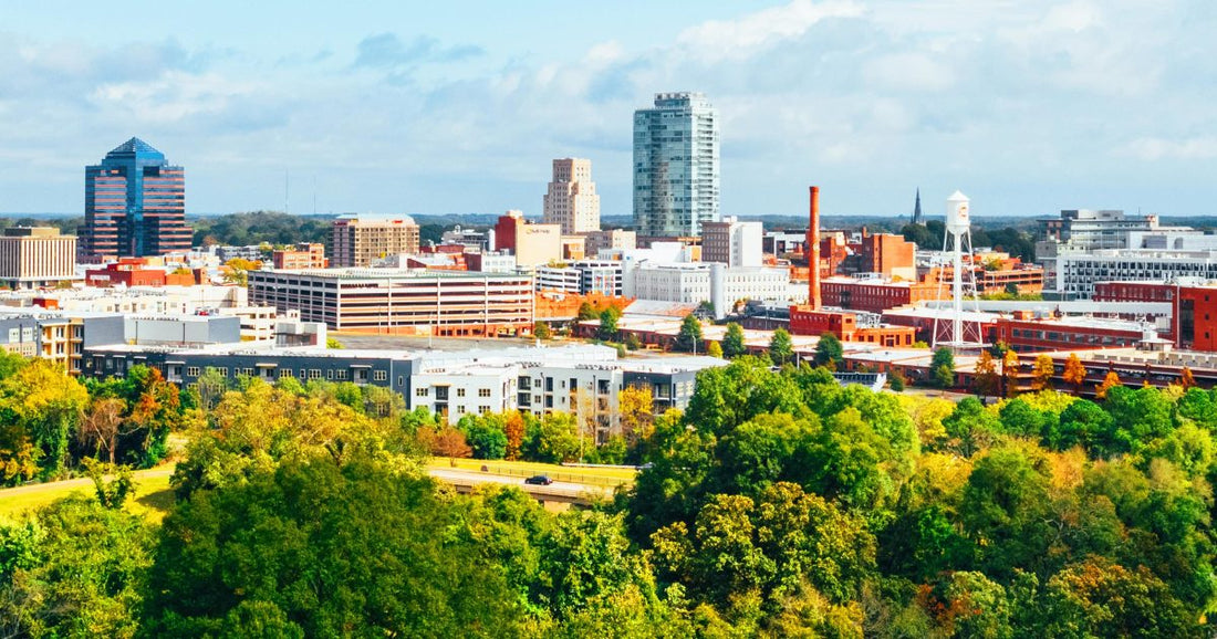 Top or Best Storyboard Agencies and Companies in Durham, North Carolina