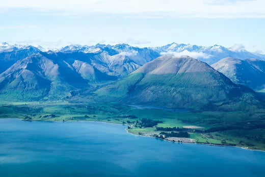 Top 5 Animation and Motion Graphics Agencies in New Zealand