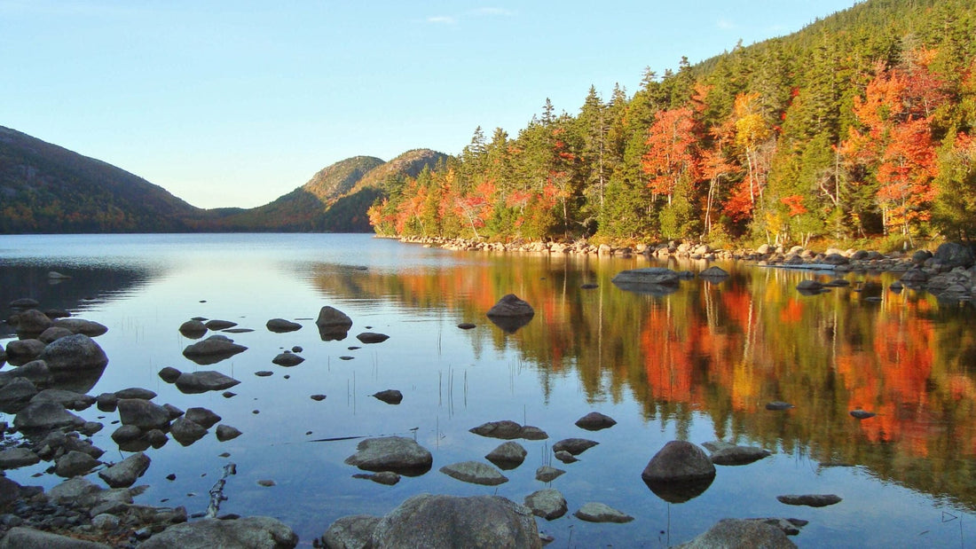 Best Stationery Design Agencies in Maine