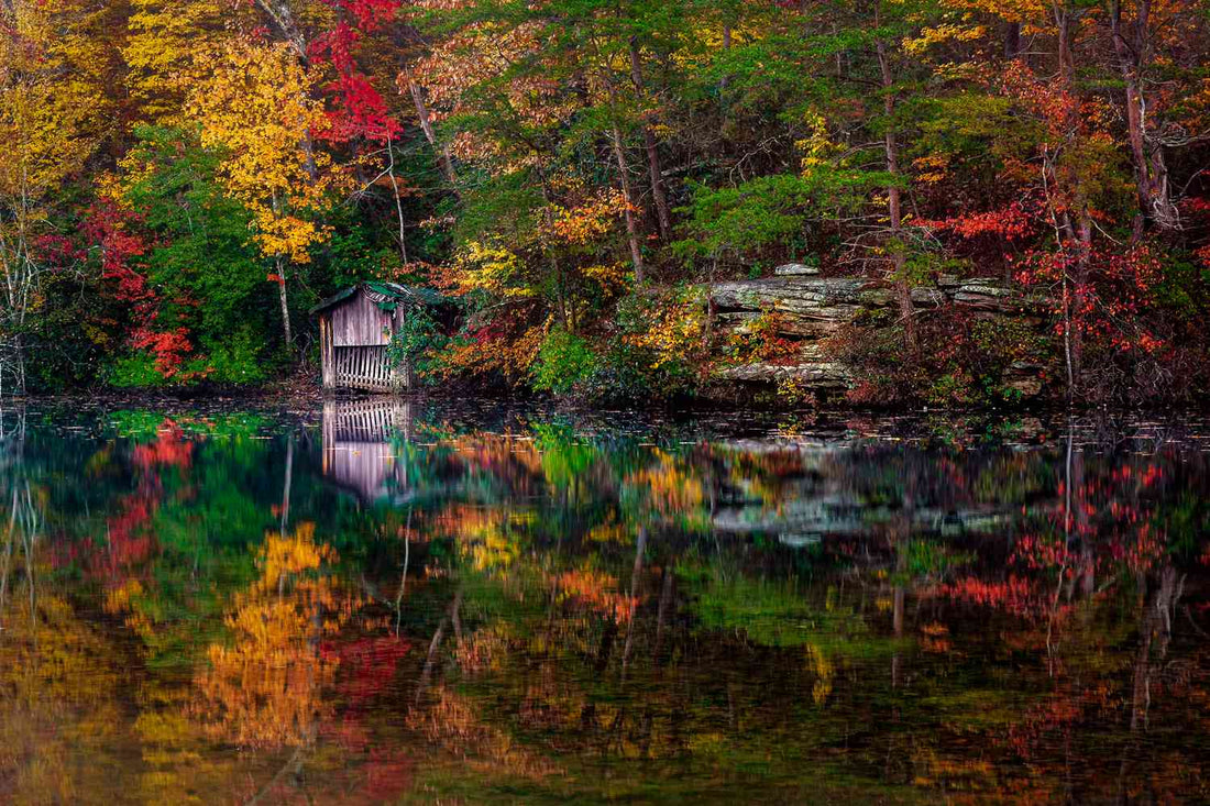 Best Instagram Management Companies in Alabama