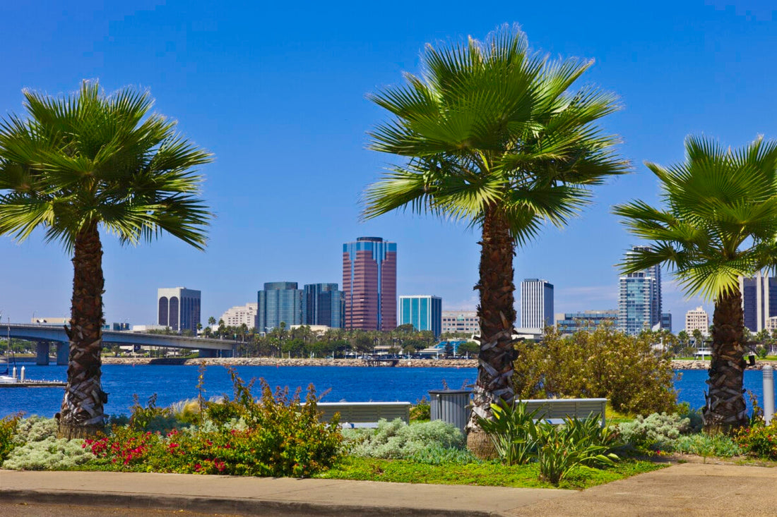 Top or Best Social Media Design Agencies and Companies in Long Beach, California