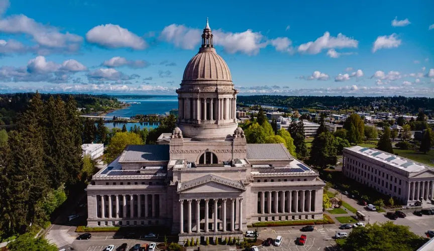Top Drawing and Illustration Agencies in Washington